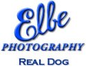 Real Dog